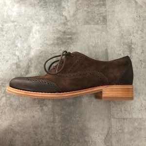 NWOT Chocolate Brown Sebago Oxfords